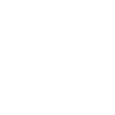 Function icon